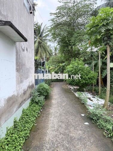 Bán gấp dãy trọ p9 ngay bờ kè mới kdc đông full phòng