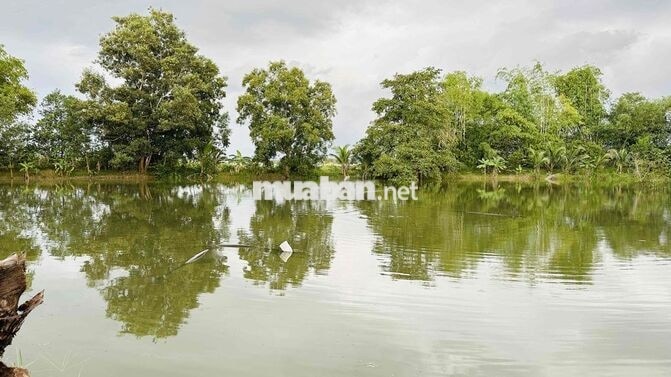 BÁN ĐẤT RẪY CHÍNH CHỦ GIÁP HỒ TRỊ AN TẠI LA NGÀ
