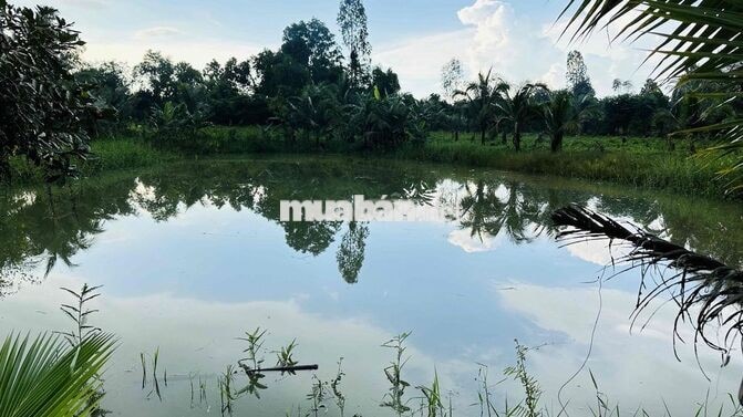 BÁN ĐẤT RẪY CHÍNH CHỦ GIÁP HỒ TRỊ AN TẠI LA NGÀ