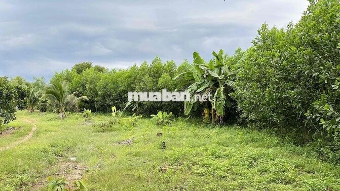 BÁN ĐẤT RẪY CHÍNH CHỦ GIÁP HỒ TRỊ AN TẠI LA NGÀ