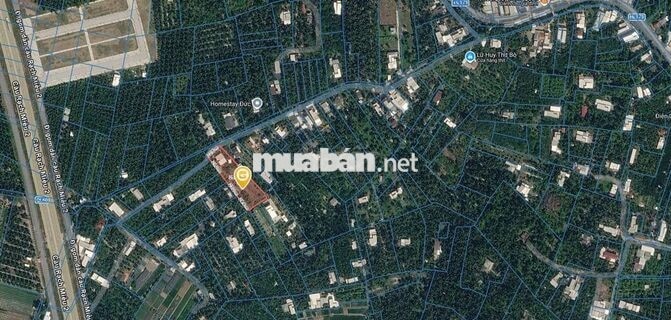 BÁN ĐẤT 1.200M² TẠI TAM PHƯỚC, CHÂU THÀNH, BẾN TRE