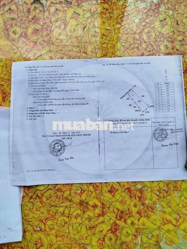 BÁN ĐẤT 1.200M² TẠI TAM PHƯỚC, CHÂU THÀNH, BẾN TRE