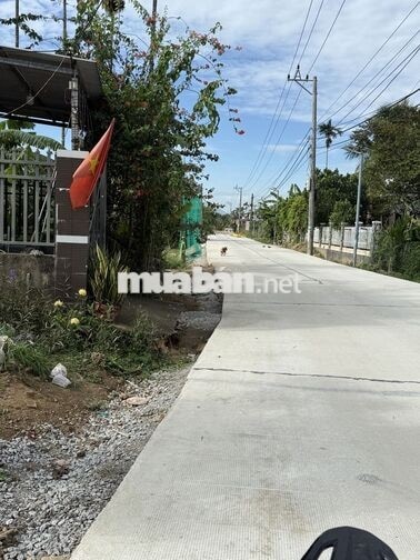 Đất xã Điện Bàn Tây( Điện Hồng cũ)