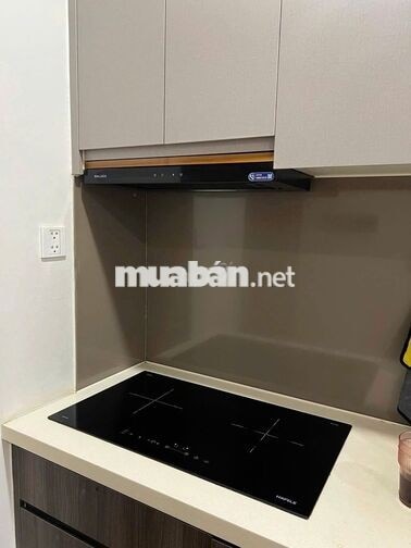 Cho thuê căn hộ LAVIDA PLUS giá 12tr