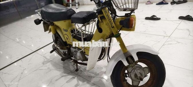 Honda Chaly 81 Vàng