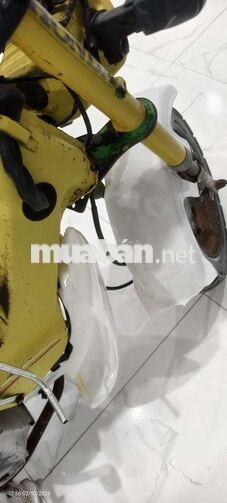 Honda Chaly 81 Vàng