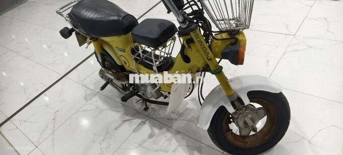 Honda Chaly 81 Vàng