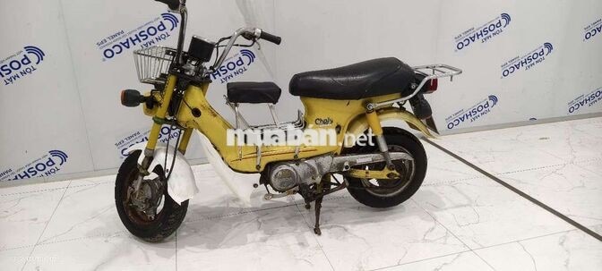 Honda Chaly 81 Vàng