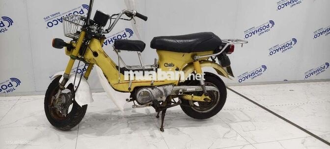 Honda Chaly 81 Vàng