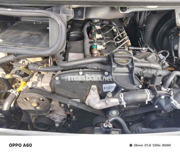 Ford Transit Luxury 16 chỗ Bạc