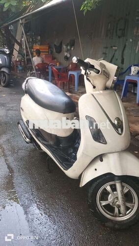 Xe tay ga SYM Elegant Trắng