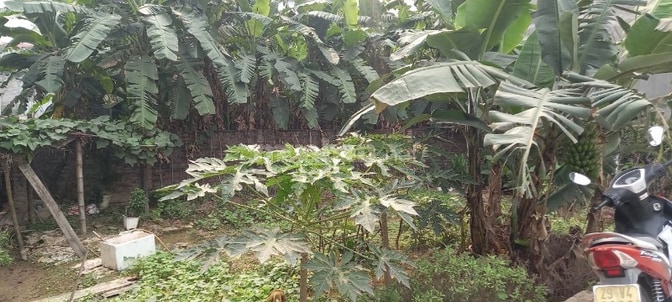 Cho thuê nhà 3 tầng 135 m2 tại La Tinh, Đông La, Hoài Đức. Giá: 6.5 tr