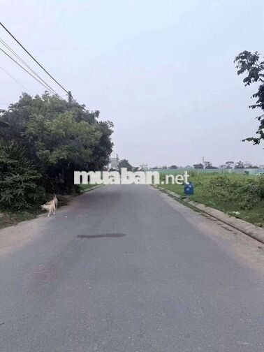 Cho thuê kho mới xây Tân Đông Hiệp B