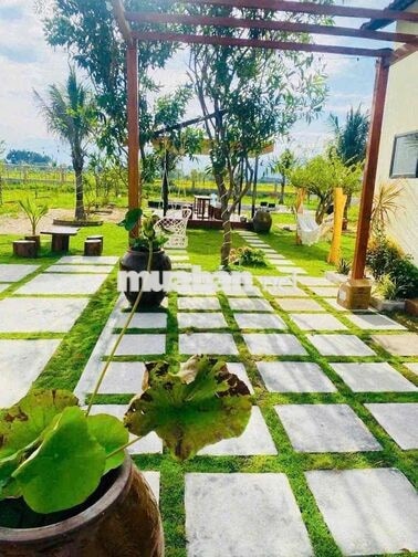 BÁN NHÀ VƯỜN ĐẸP – KHÔNG GIAN NGHỈ DƯỠNG XANH MÁT.