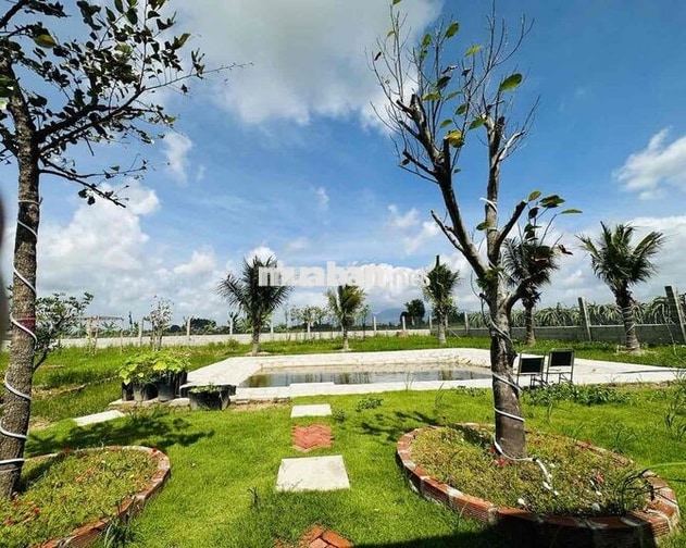 BÁN NHÀ VƯỜN ĐẸP – KHÔNG GIAN NGHỈ DƯỠNG XANH MÁT.