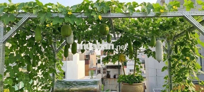 10,2 TỶ – NHÀ ĐẸP TÂN HƯNG Q7 – HẺM XE TẢI  – SỔ HỒNG HOÀN CÔNG