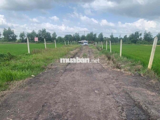 cần bán lô đất vườn tại phước thạnh củ chi