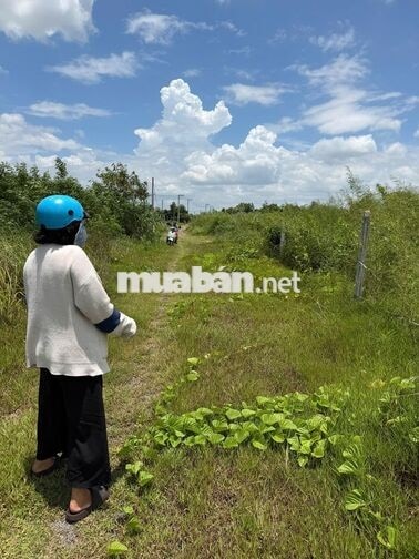 🌿 CHÍNH CHỦ BÁN 500 M² ĐẤT VƯỜN – PHÚ HÒA ĐÔNG MỚI 🌿  📍