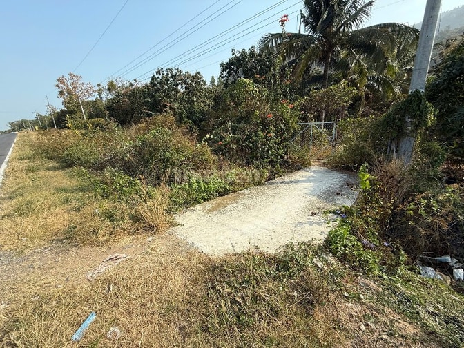9424m đất vườn trồng CLN,sổ hồng riêng,chính chủ