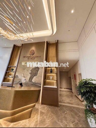 cho thuê căn hộ full nội thất cao cấp Sun Ponte