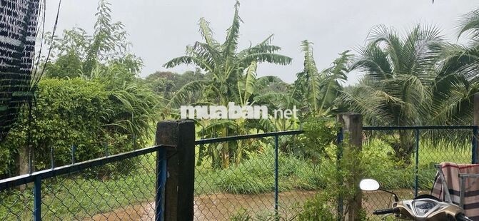 Cần bán lô đất giá cực rẻ có thổ cư cho gia đình nào muốn An cư