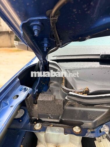 Ford Ranger XLS 2023 Xanh 8 vạn siêu đẹp
