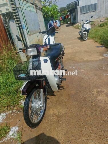 Honda Dream II 1993 Đỏ mận, Trắng
