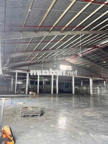 Cho Thuê Kho Xưởng Tân An Hội Củ Chi có PCCC Thẩm Duyệt