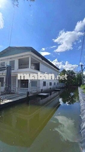 Cho Thuê Kho Xưởng Tân An Hội Củ Chi có PCCC Thẩm Duyệt