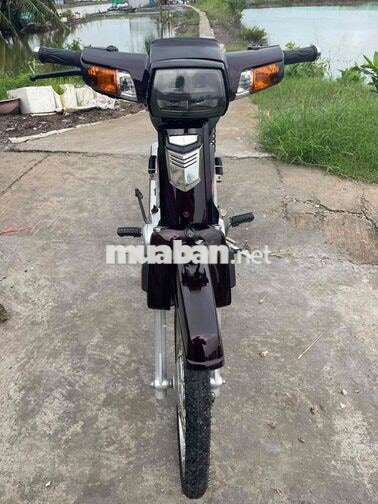 Honda Dream Nâu đỏ