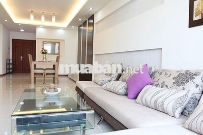 Cho thuê căn hộ C/C Hoa Sen, Quận 11, 100m2, 3pn, 14tr