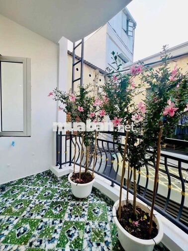 Vô Địch Phân Khúc 4 Tỷ  💵 3 Phòng Ngủ 🏘️Quang Trung P10 📍đủ nội thất