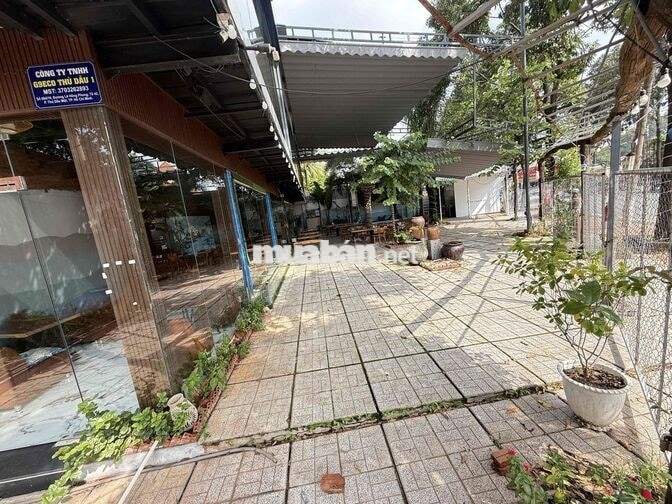 ✨Cho thuê MBKD 800m trung tâm Thủ Dầu Một, Bình Dương (GC