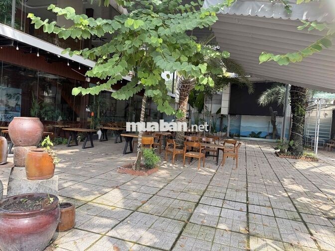 ✨Cho thuê MBKD 800m trung tâm Thủ Dầu Một, Bình Dương (GC