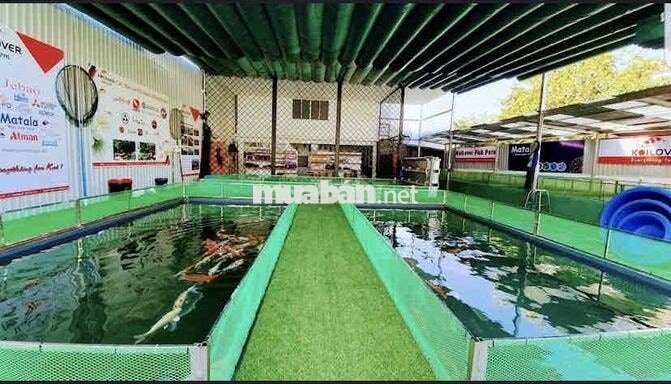 CẦN BÁN 525,6M² FULL THỔ CƯ NGUYỄN VĂN LINH – TÂN THUẬN