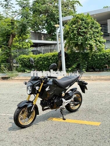Moto Mini Honda MSX 125