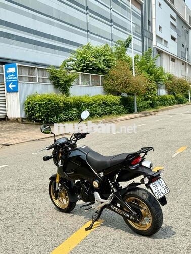 Moto Mini Honda MSX 125