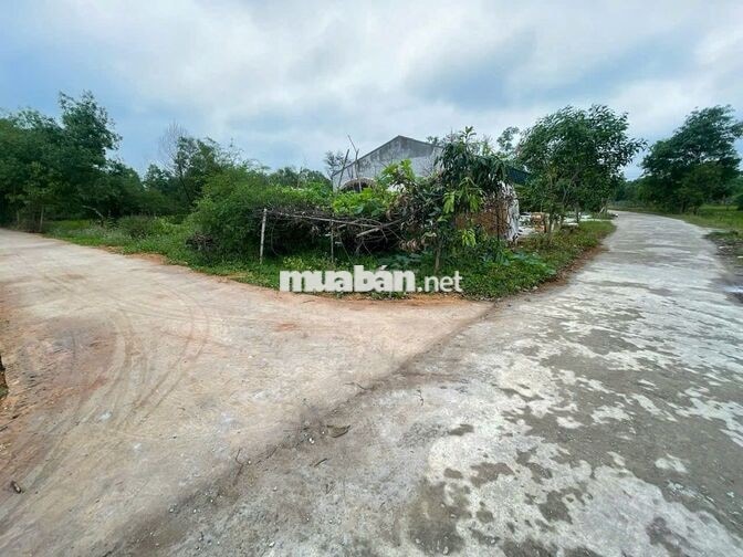 🔥 BÁN ĐẤT LƯƠNG VIỆN – PHÚ ĐA – PHÚ VANG, GẦN SÂN BAY PHÚ BÀI