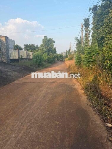 Bán 11.446m2 khu vực hồ Sông Ray, TP. Đồng Nai, 300 thổ cư