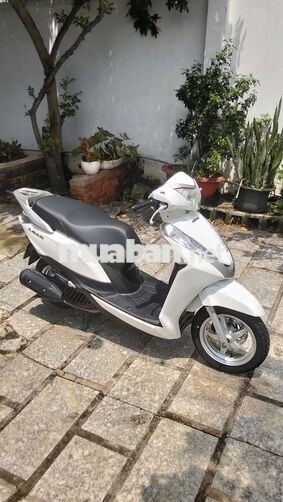 Honda Lead Trắng & đen Việt Nam