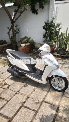 Honda Lead Trắng & đen Việt Nam