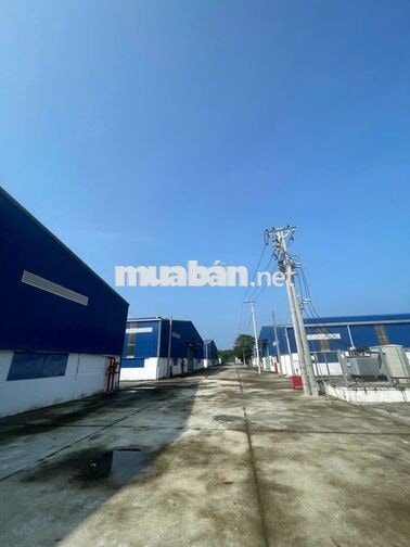 Chính Chủ - Cho thuê xưởng 14.500m2 Phú Giáo, giao ngay