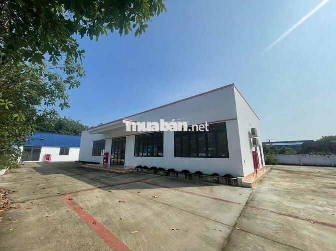 Chính Chủ - Cho thuê xưởng 14.500m2 Phú Giáo, giao ngay