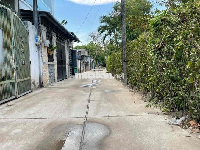 HÓC MÔN (Lê Thị Hà-Nguyễn Thị Ai) Full Thổ-F0