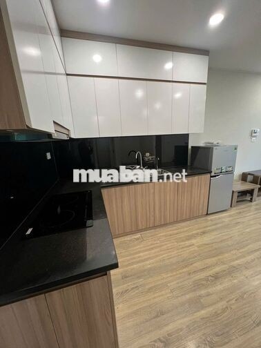 Cho thuê căn 1n1+ 43m ,Imperia Smart City - giá 8tr5 , đủ đồ