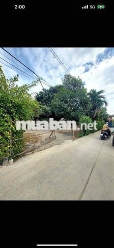 HÓC MÔN (Lê Thị Hà-Nguyễn Thị Ai) Full Thổ-F0