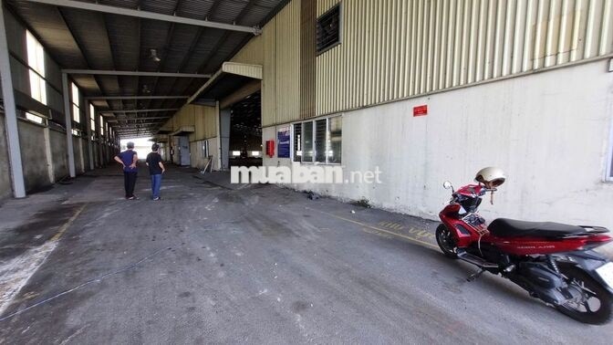 Cho thuê nhà xưởng Đức Hòa 5.000m², VP 450m², 650KVA, PCCC tự động