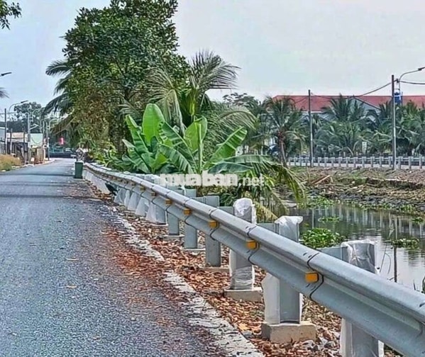 bán vườn cây ăn trái 1000m2 đường vườn Thơm xã Bình Lợi HBC 
