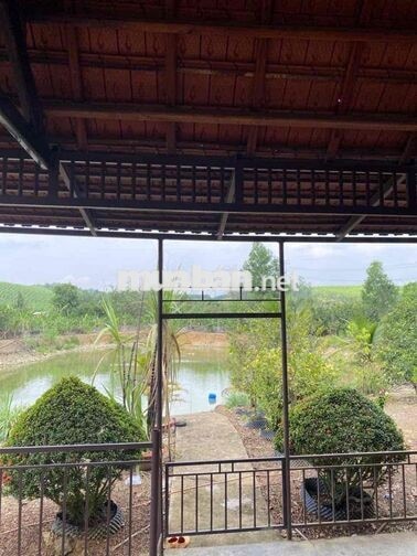 Diện tích 9.747m², khuôn viên rộng, thửa đất có nhiều mặt thoáng, phù