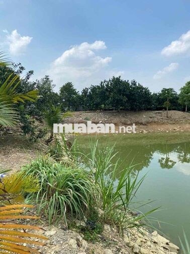 Diện tích 9.747m², khuôn viên rộng, thửa đất có nhiều mặt thoáng, phù